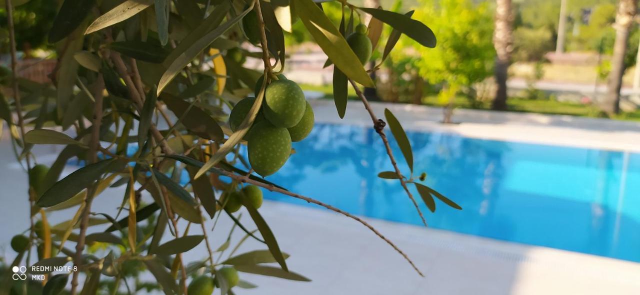 Green Garden Otel Kemer Ngoại thất bức ảnh