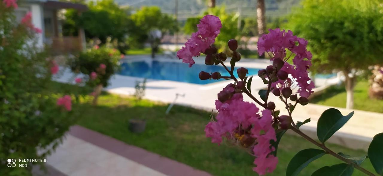 Green Garden Otel Kemer Ngoại thất bức ảnh